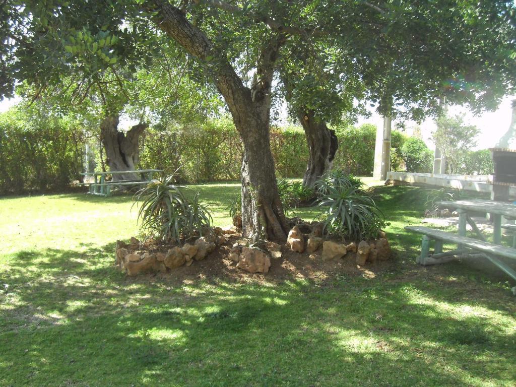 Tavira Garden Apartment ภายนอก รูปภาพ